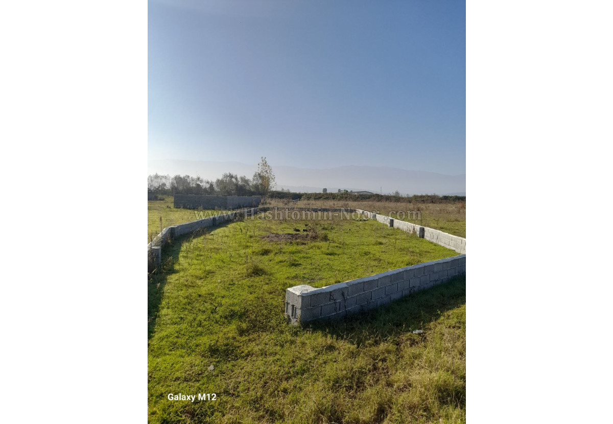 سه هزار متر زمین تفکیکی جنگلی ترین لوکیشن